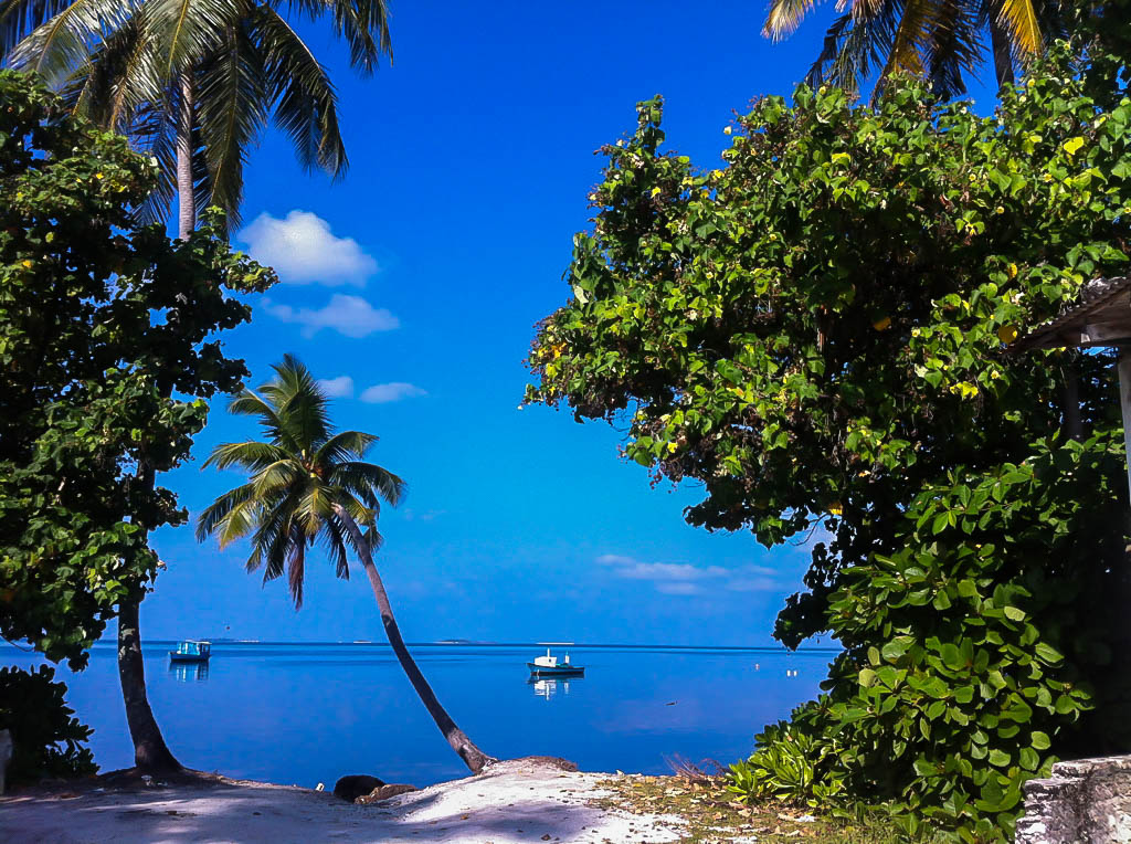 Island Maldives ocean