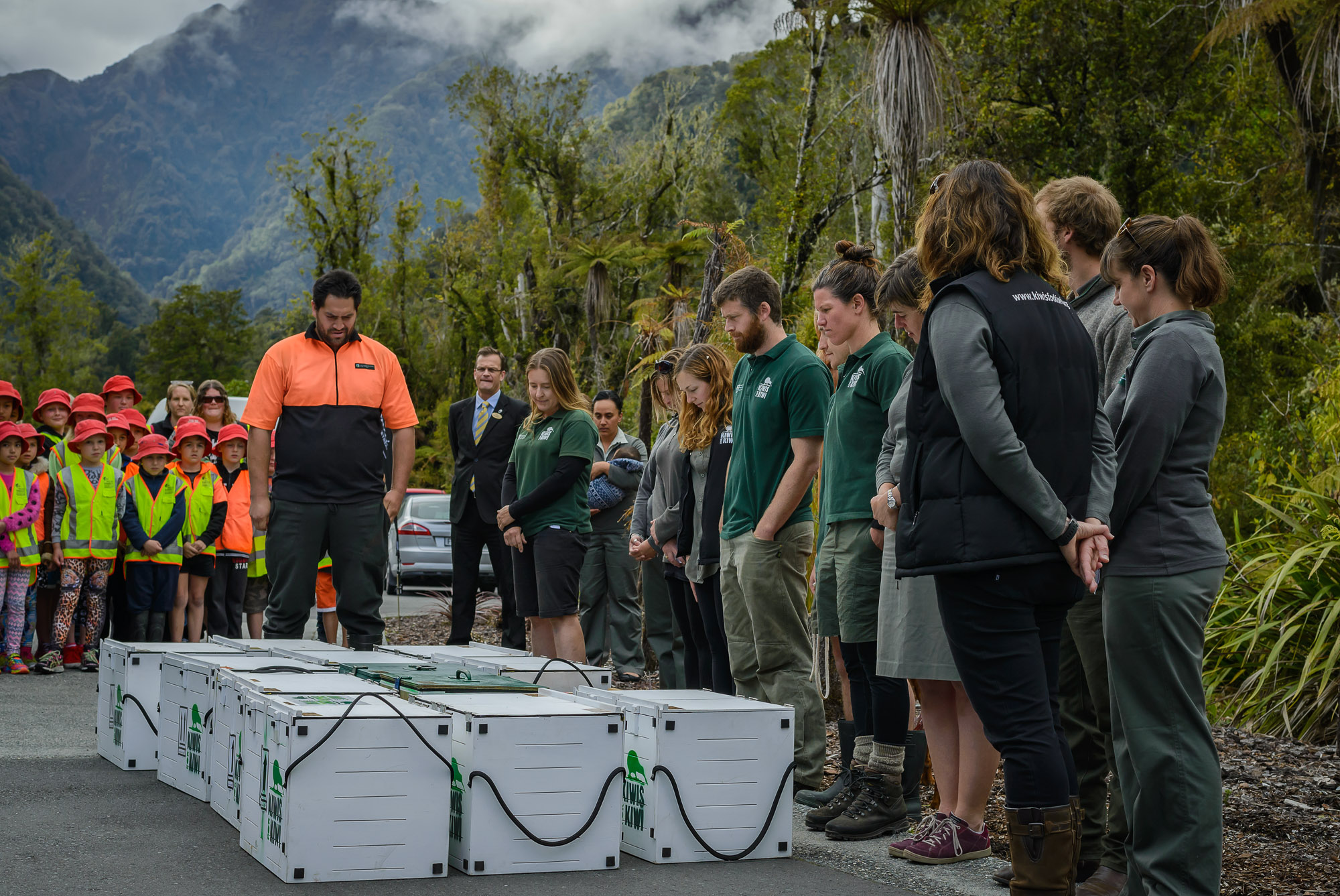 Kiwi release Franz Josef