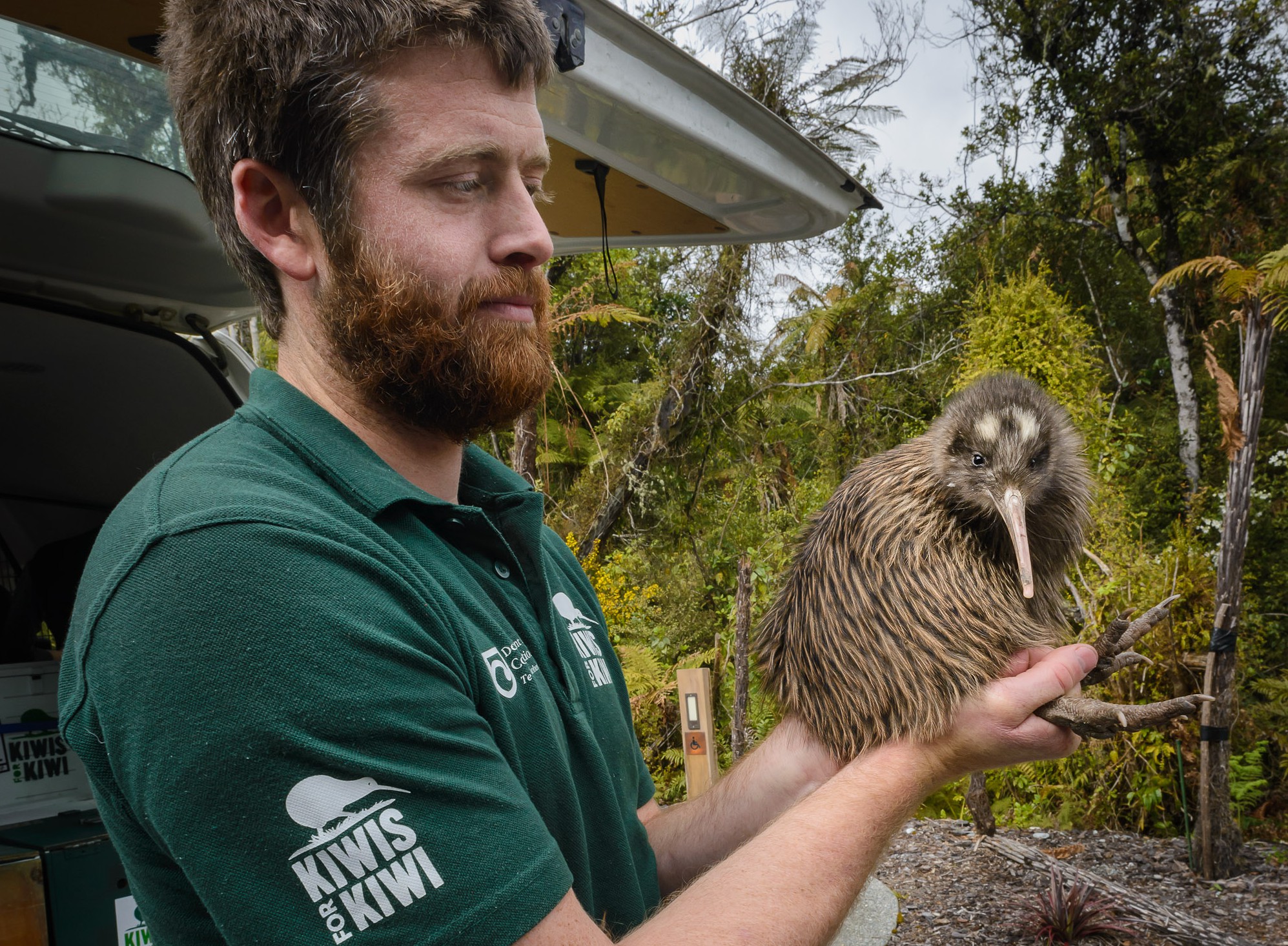 Kiwi release New Zealand