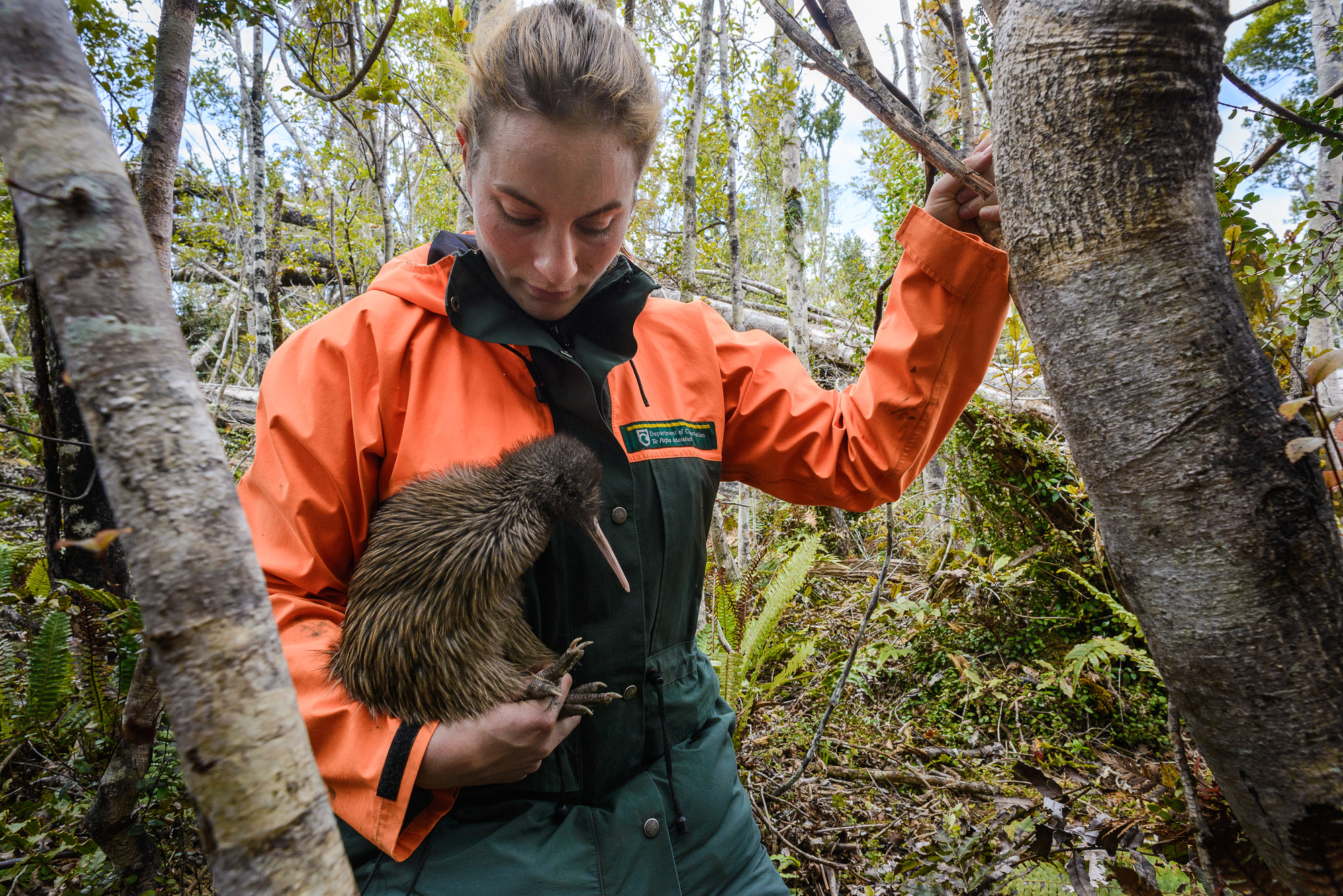 Kiwi release New Zealand