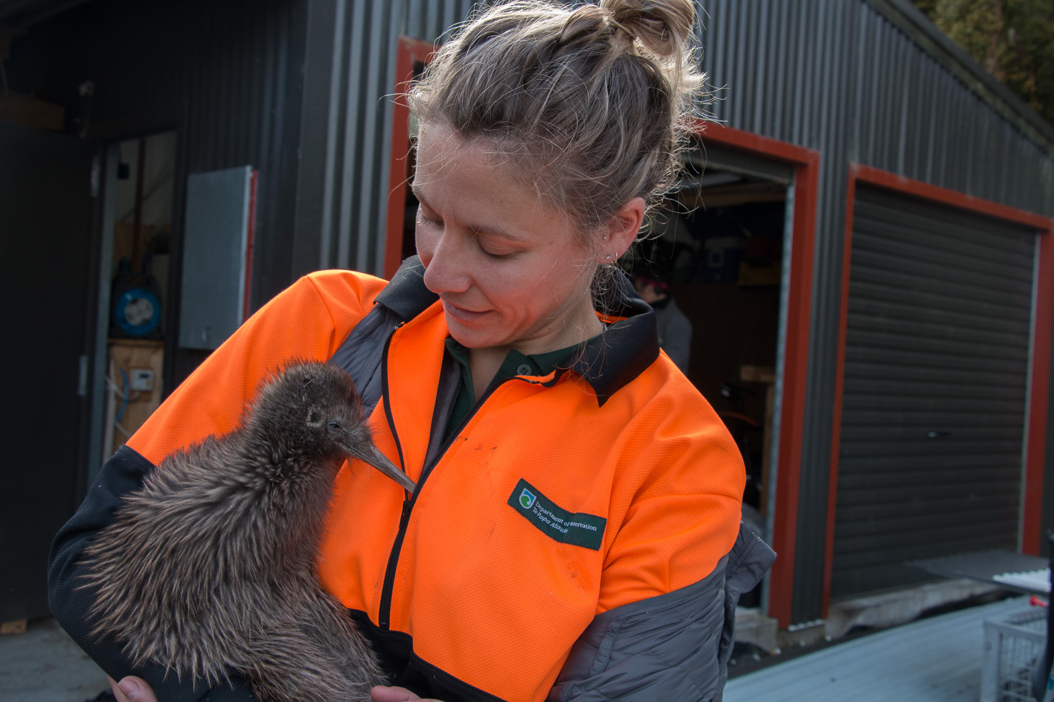 Kiwi release New Zealand