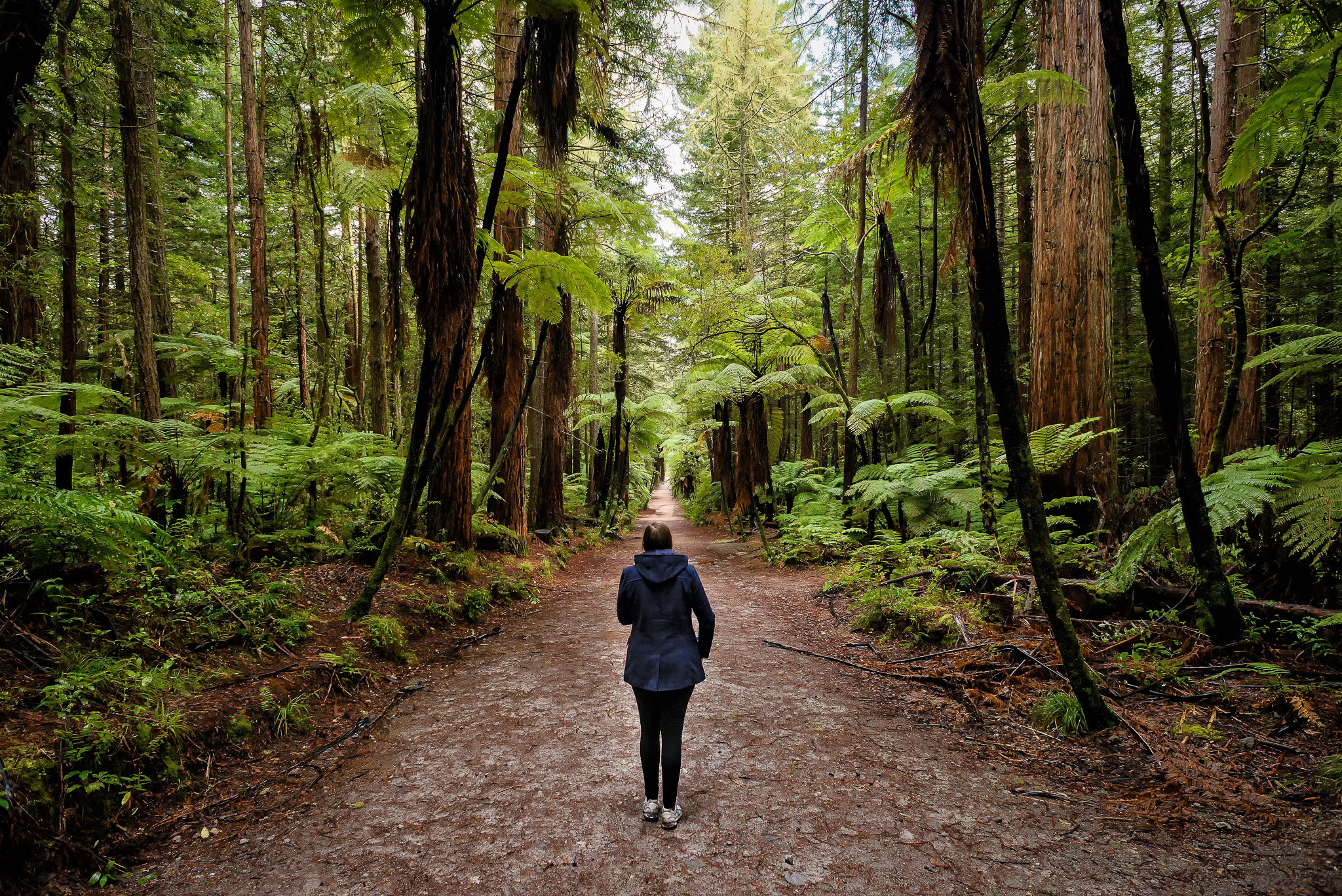 Redwood Forest NZ girl