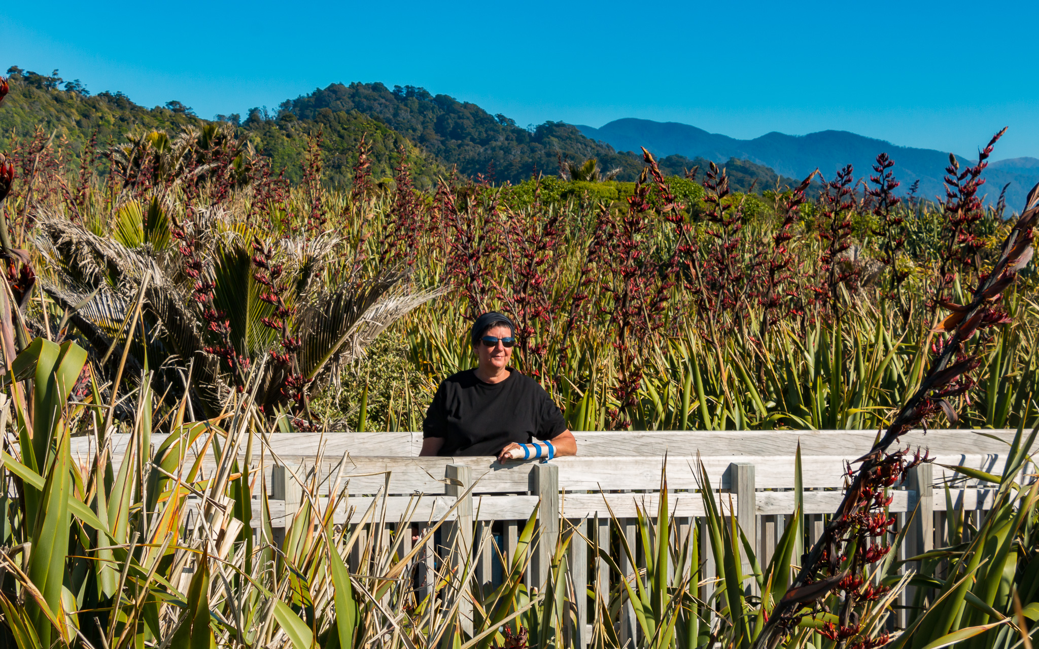 pancake rocks Punakaiki