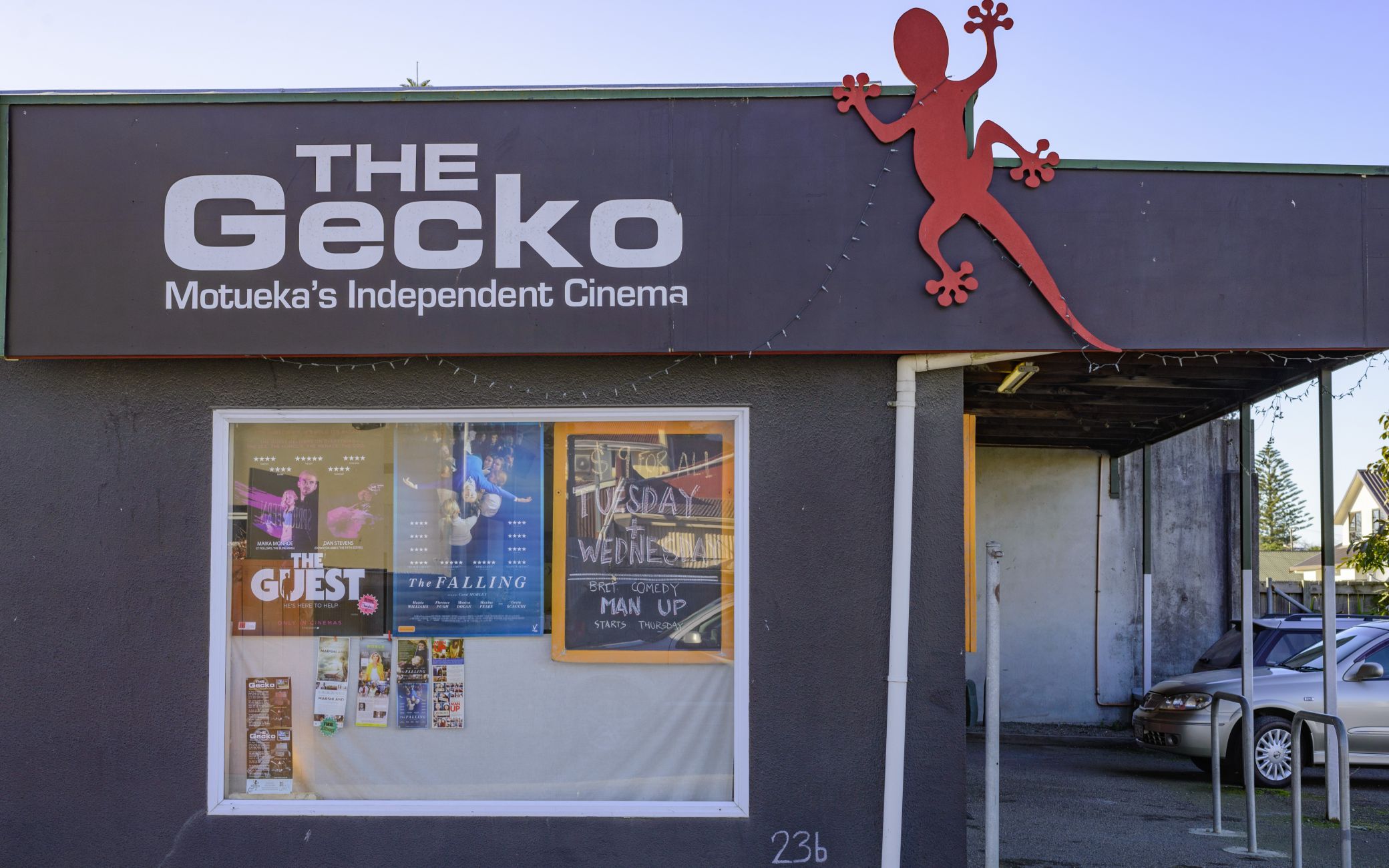 Motueka the gecko theatre