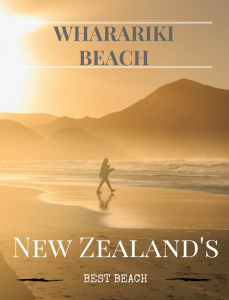 Explore New Zealand's best beach