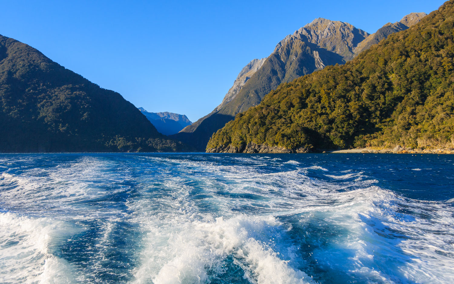 Cruise in Milford Sound