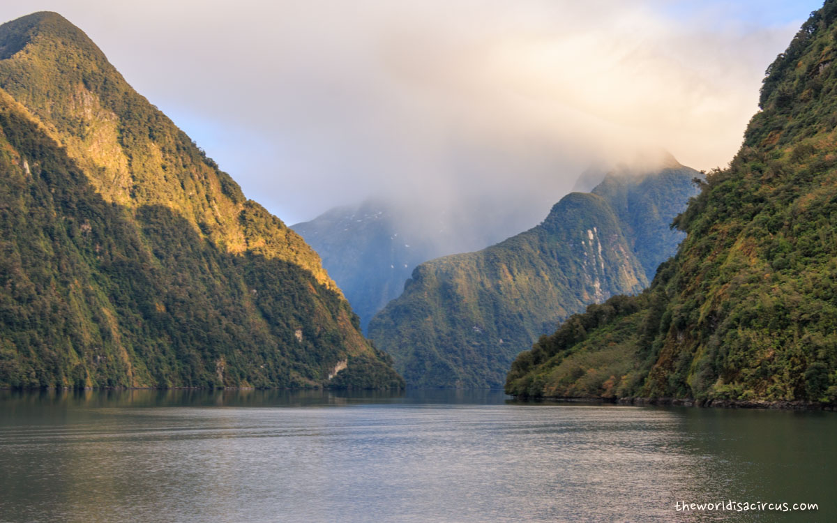 Doubtful Sound Cruise