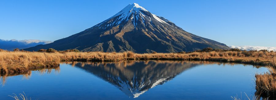 6 Reasons Why You Should Visit New Zealand in Spring