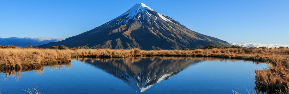 Why you should visit New Zealand in spring