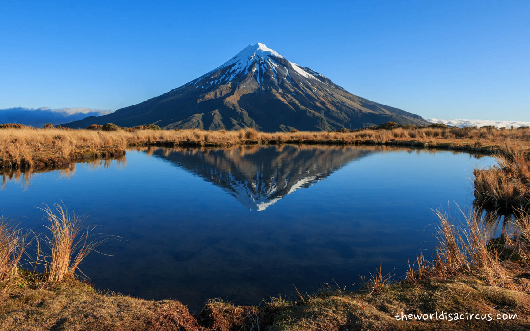 New Zealand in spring