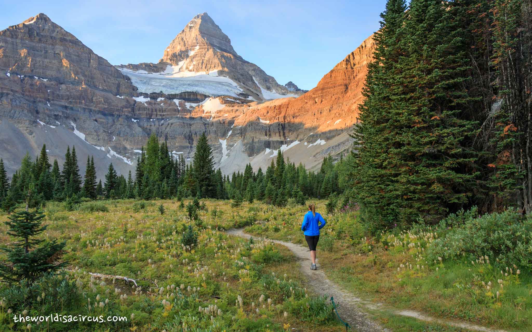 Mount Assiniboine Provincial Park Hiking