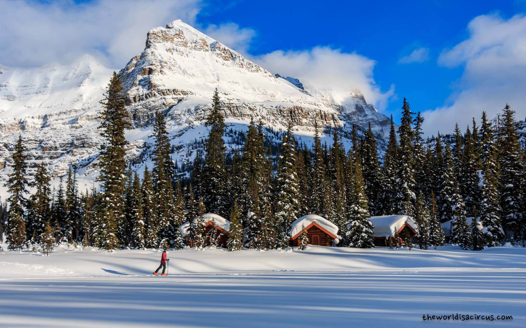 Visiting Lake O’Hara in Winter - Canada