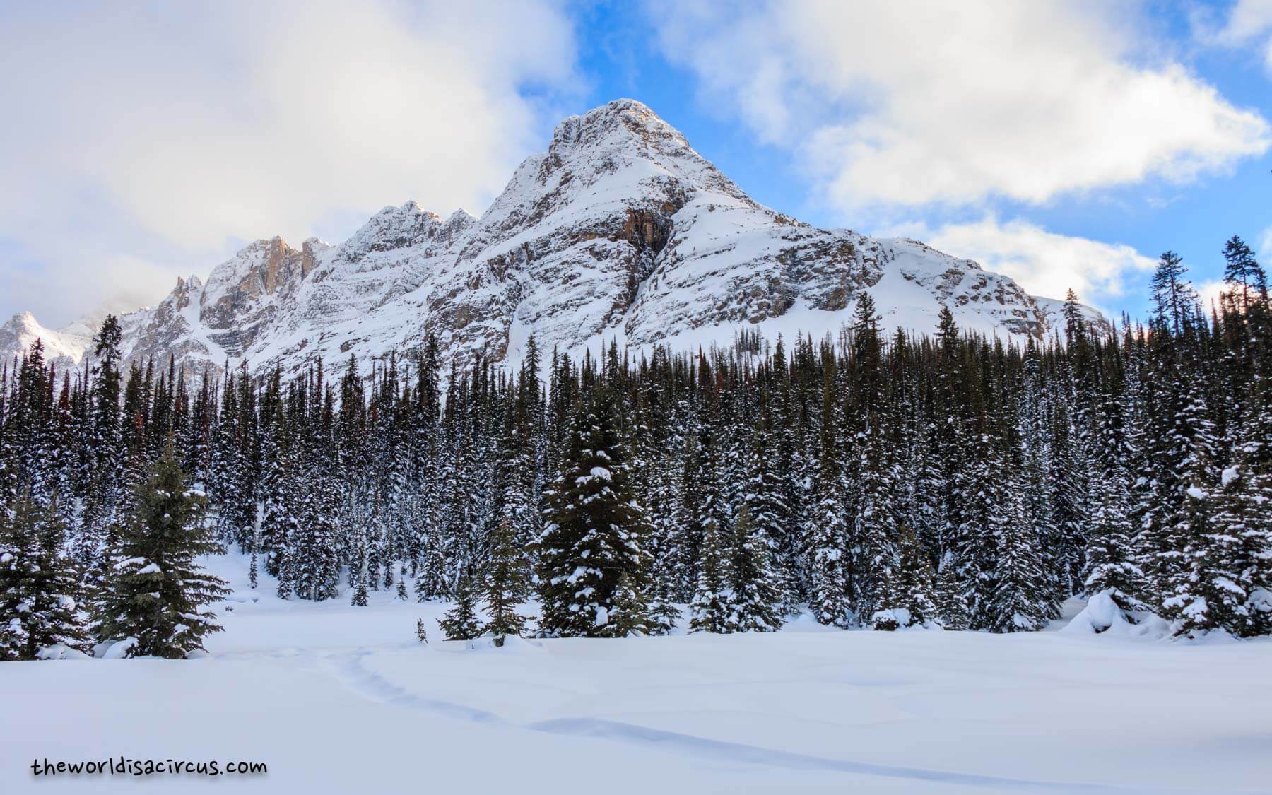 Lake O'hara in winter