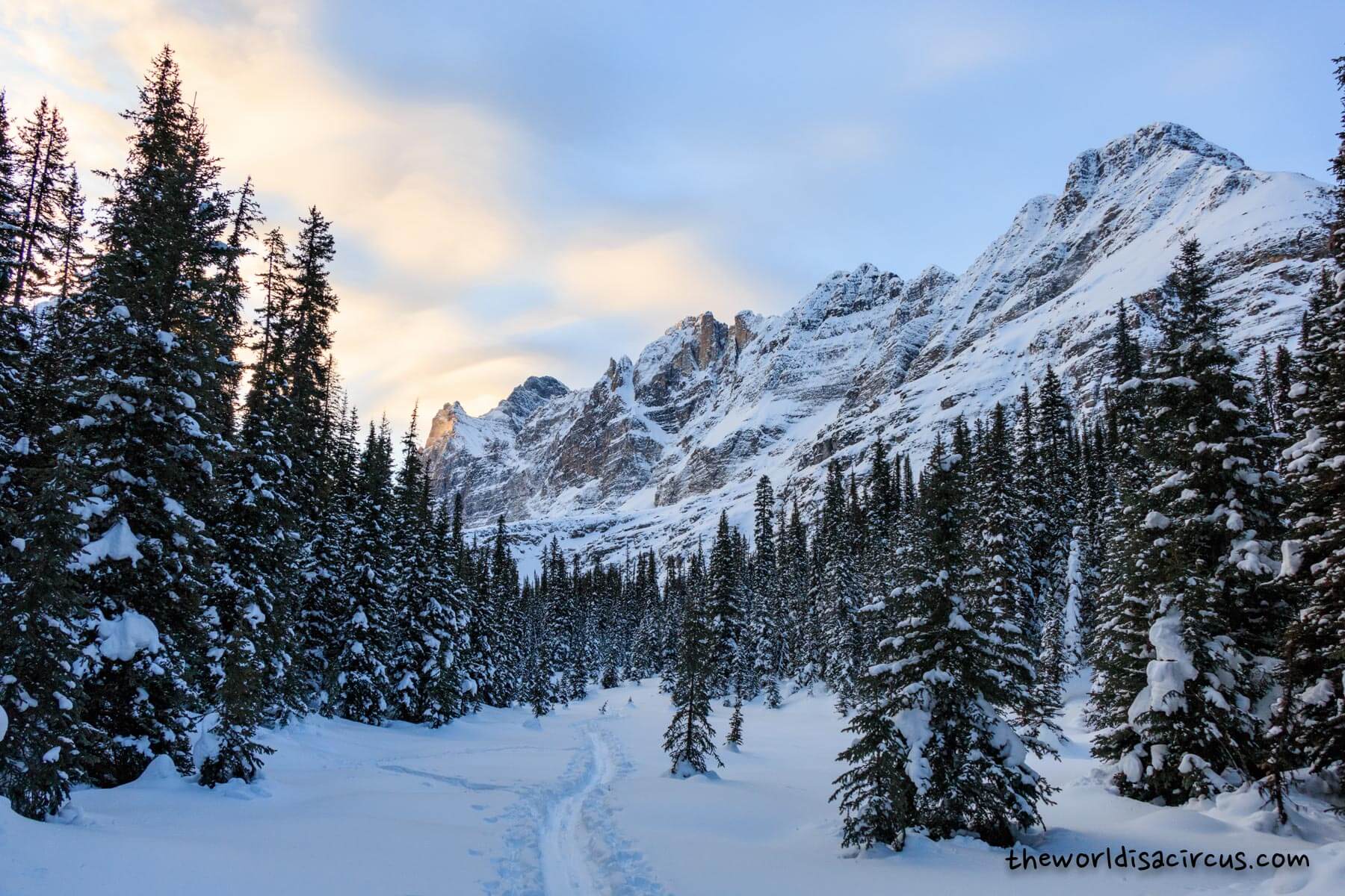 Visiting Lake Ohara In Winter